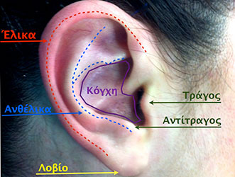 ear surgery cyprus.jpg